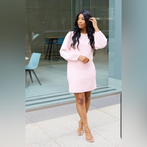 Red Dress Boutique Dresses & Skirts - Red Dress Boutique Carefreely Content Pink Gingham Mini Dress M